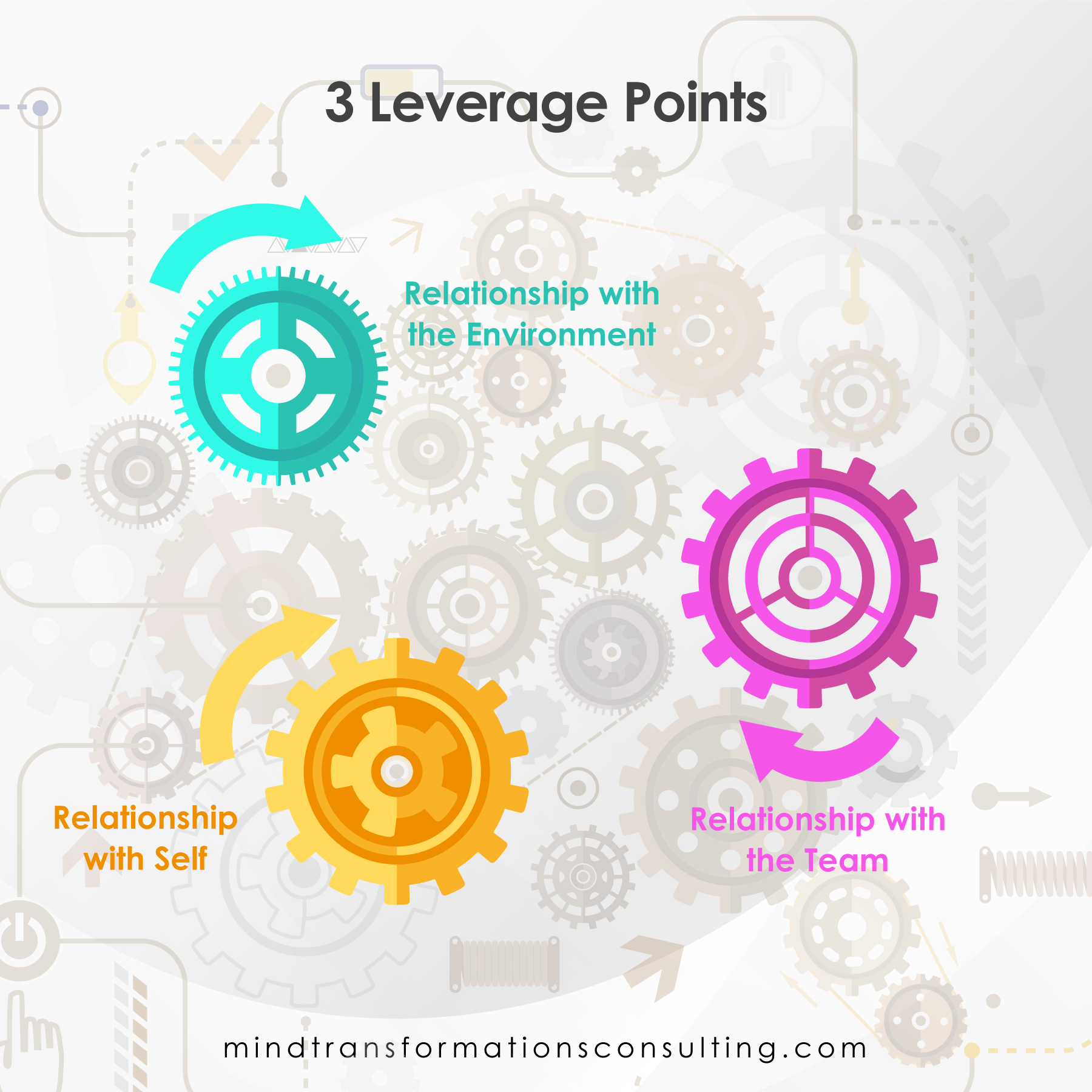 3 Leverage Points
